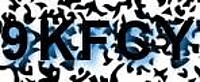 grafischer Sicherheitscode