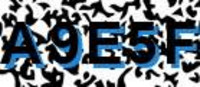 grafischer Sicherheitscode