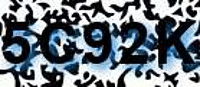 grafischer Sicherheitscode