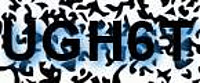 grafischer Sicherheitscode
