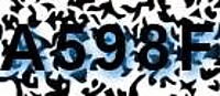 grafischer Sicherheitscode