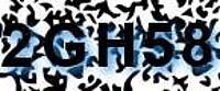 grafischer Sicherheitscode