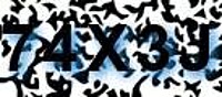 grafischer Sicherheitscode