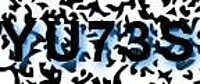 grafischer Sicherheitscode
