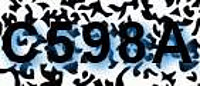 grafischer Sicherheitscode