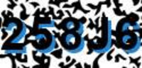 grafischer Sicherheitscode