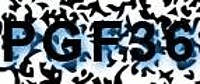 grafischer Sicherheitscode