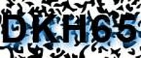 grafischer Sicherheitscode