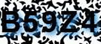 grafischer Sicherheitscode