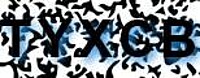 grafischer Sicherheitscode