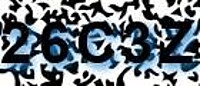grafischer Sicherheitscode