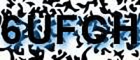 grafischer Sicherheitscode