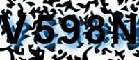 grafischer Sicherheitscode