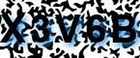 grafischer Sicherheitscode