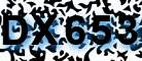 grafischer Sicherheitscode