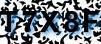 grafischer Sicherheitscode