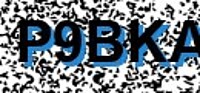 grafischer Sicherheitscode