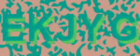 grafischer Sicherheitscode
