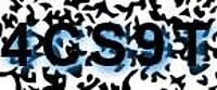 grafischer Sicherheitscode
