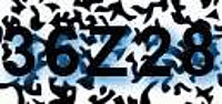 grafischer Sicherheitscode
