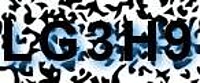 grafischer Sicherheitscode