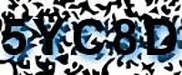 grafischer Sicherheitscode