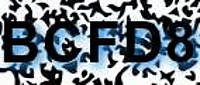 grafischer Sicherheitscode