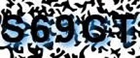 grafischer Sicherheitscode