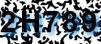 grafischer Sicherheitscode