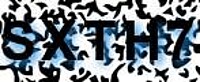 grafischer Sicherheitscode