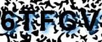 grafischer Sicherheitscode
