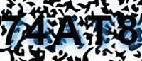 grafischer Sicherheitscode
