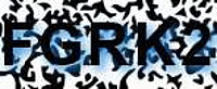grafischer Sicherheitscode