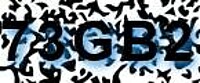 grafischer Sicherheitscode