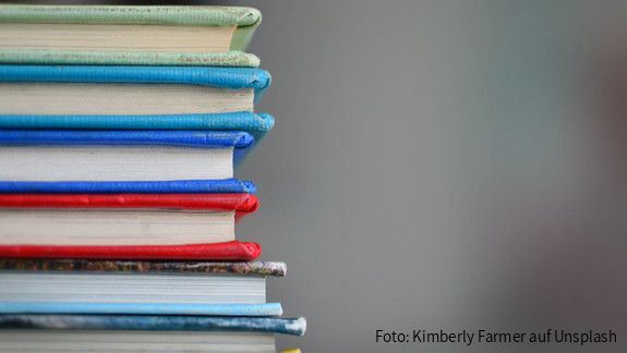 Union der Kompetenzen – EU-Bildungspläne: Chance oder Einmischung? Verschiedenfarbige Bücher