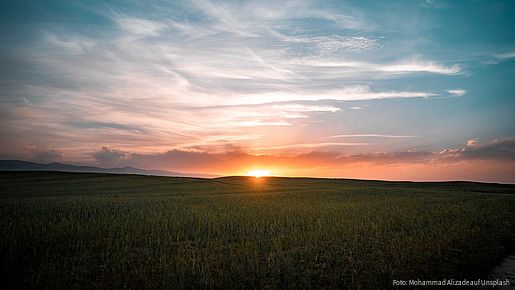 Horizont
