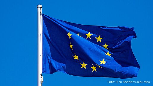 Die AG Europa informiert - Februar 2025 Das Foto zeigt eine Europaflagge, die im Wind flattert.