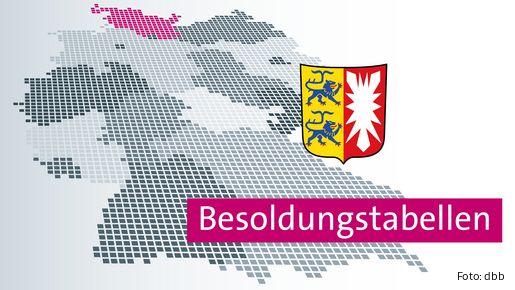 Das Banner zeigt eine Deutschlandkarte, das Wappen von Schleswig-Holstein und die Beschriftung "Besoldungstabellen".